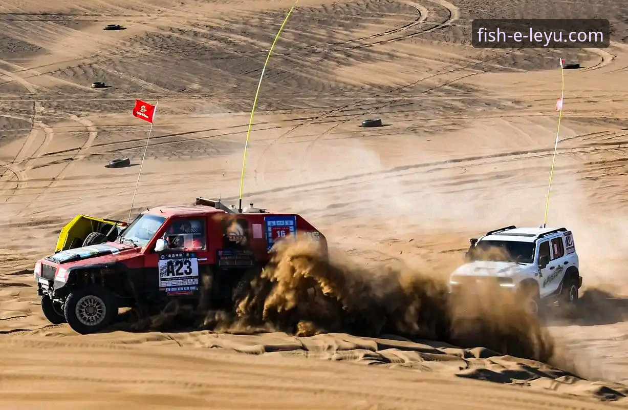 沙漠风暴与大师赛：一场由乐鱼体育官网直播见证的“空域困局”深度评测